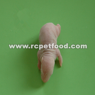 Rats for Reptiles Amphibian Raptors Food Wholesale