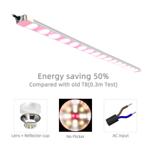 High Efficiency LED Grow Lights for Venus Flytrap Succulents - Full Spectrum Energy Saving Plant Factory Light