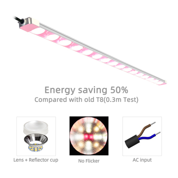 High Efficiency LED Grow Lights for Venus Flytrap Succulents - Full Spectrum Energy Saving Plant Factory Light