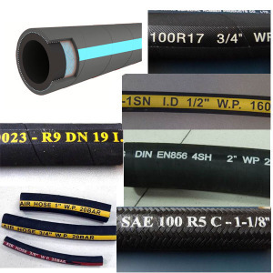 Steel Wire Braided Hydraulic Hose/ High Pressure Hose/ SAE 100 R1at/DIN En853 1sn