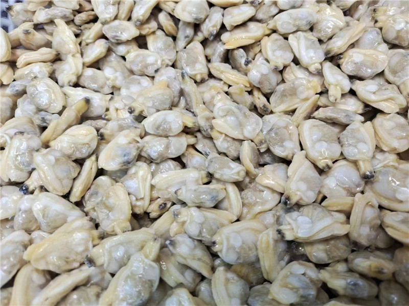 Mięso małży w skorupiakach