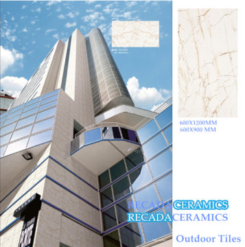 Indoors and Outdoors Tile Building Material (680201N1)