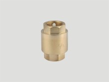 brass spring check valve