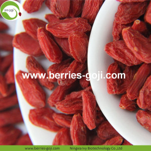 Beli Natural Nutrition Kering Buah Chinese Wolfberry