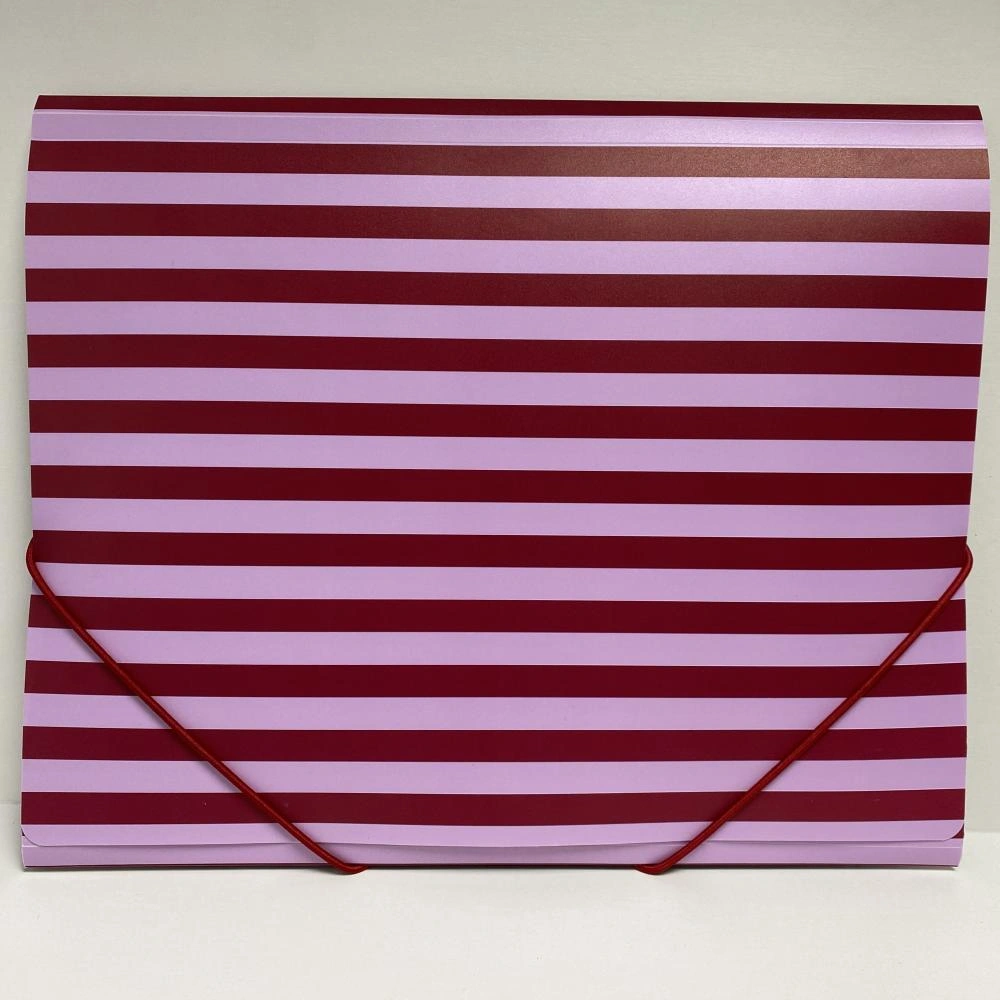 Plastic Zip Envelope