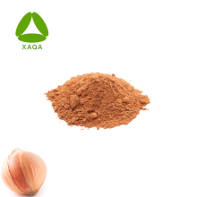 High Quality Natural Onion Extract 20% Polyphenols Powder