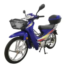 Adult Motos: Scooters, Gasoline Cub Motorbikes & Street Bikes