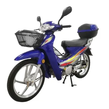 Adult Motos: Scooters, Gasoline Cub Motorbikes & Street Bikes