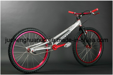 Downhill (DOWNHILL-3)