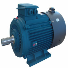 Variable Frequency 3-Phase Asynchronous AC Electric Motor