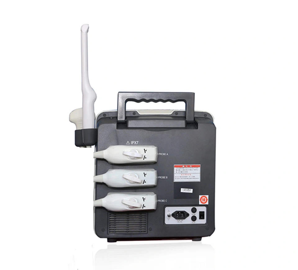 Manufacturer Price Digital B/W Color Veterinary 3D Ultrasound Machine