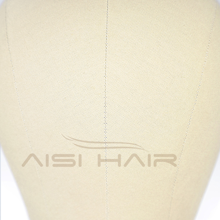 Aisi Hair Canvas Block Head Mannequin Head Weft Wig Display Style Styling Manikin Head Cork Inside Dryer Free Gifts