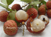 2014 New Crop Canned Fruit with Good Taste Canned Lychees