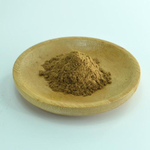 Herb Supplement organic reishi mushroom extract powder A3