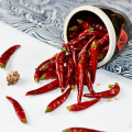 Wholesale full Babysbreath Chili dried chili is cheap