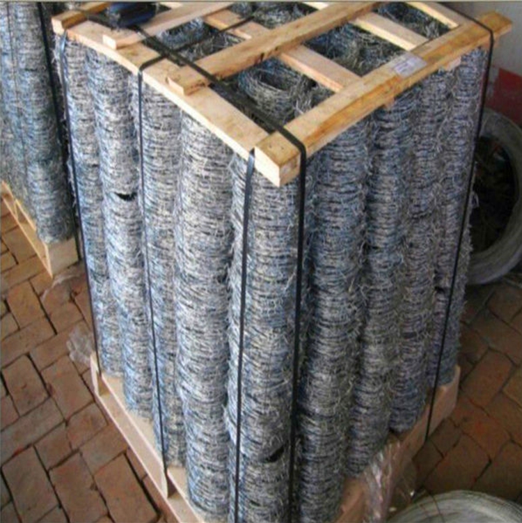 Hot Galvanized  Barbed Wire  for sale