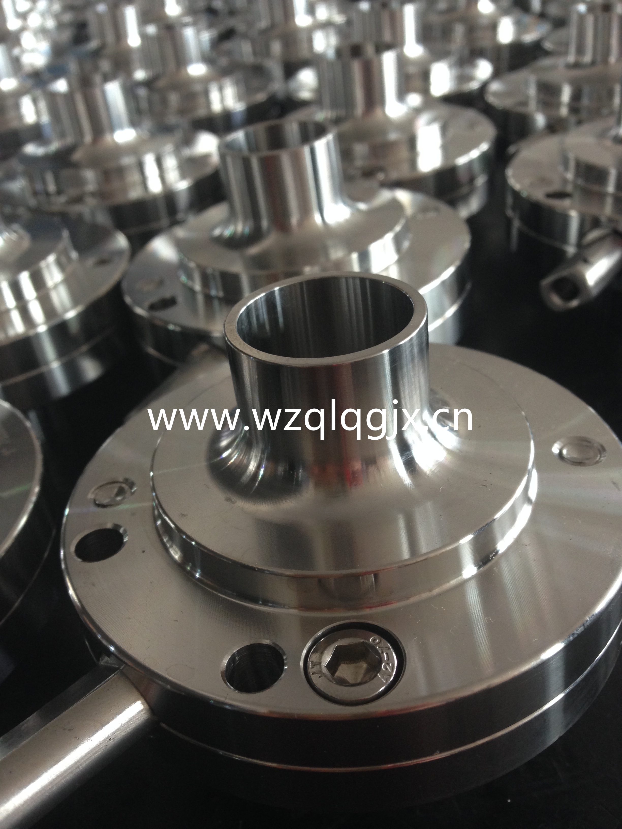 Sanitary Forged Flange