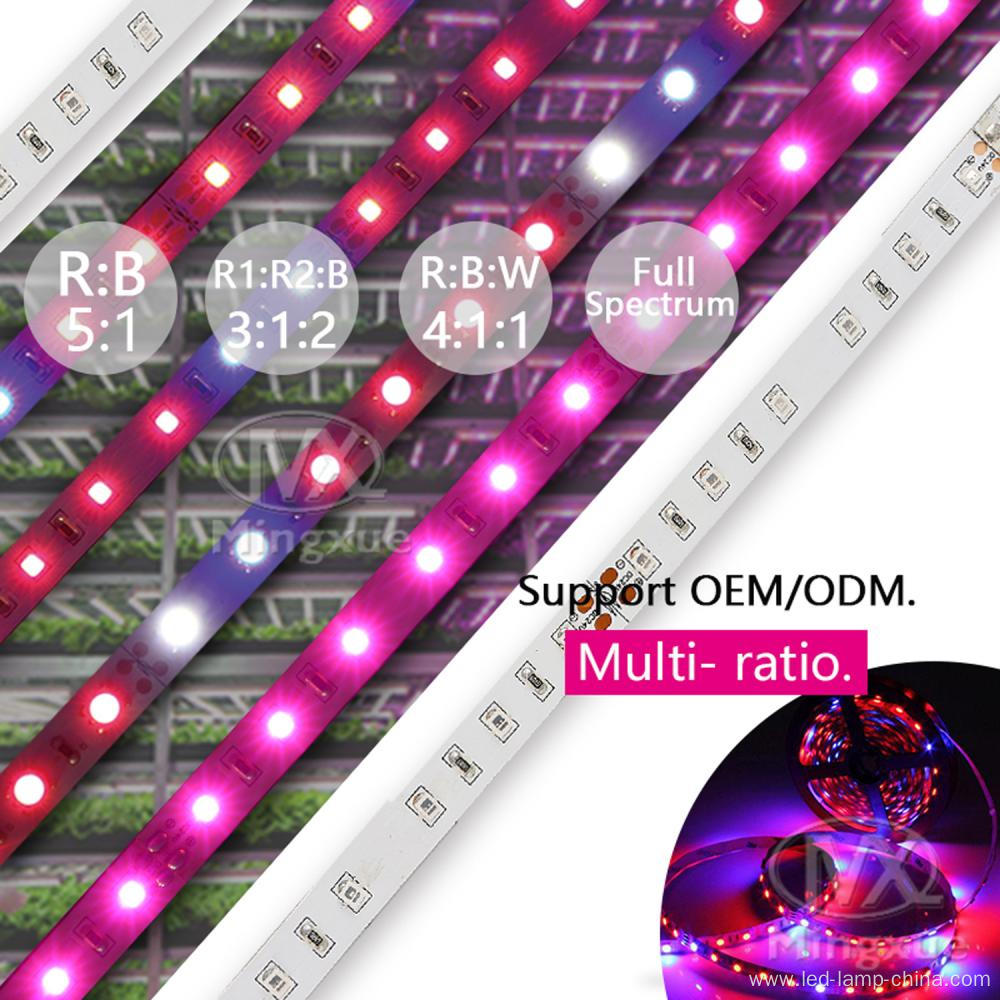 Mingxue led grow light strip 12v dc, ul certified 14W led strip grow lights