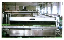 Reticulation-Belt Pasteurizer