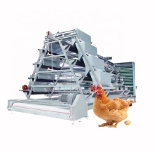 Poultry Farm Ladder Layer Hen Cage System with Egg Collection Machine
