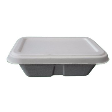 Sugarcane bagasse pulp biodegradable food box packaging