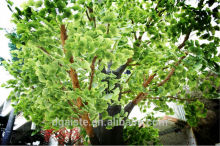 Artificial gingko trees ( artificial plant Huge / Big Ficus tree ZLS )