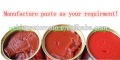 830g tomatpuré salsa märket tomatpasta