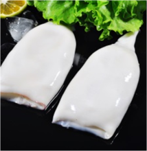 Frozen Squid Tube Frozen Squid Products