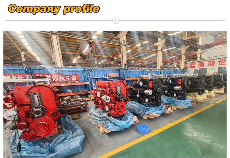 ECU Controller Electronic Control Module Programmed With CAT/Doosan/Komatsu/Kobelco/ISUZU/Shantui/SANY/Volvo ECU ECM