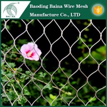 Green garden protective stainless steel wire mesh fence