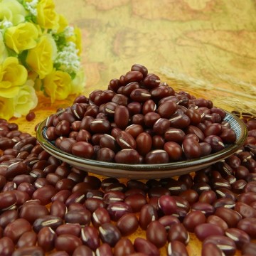 Natural and Organically Grown Small Round Red Bean