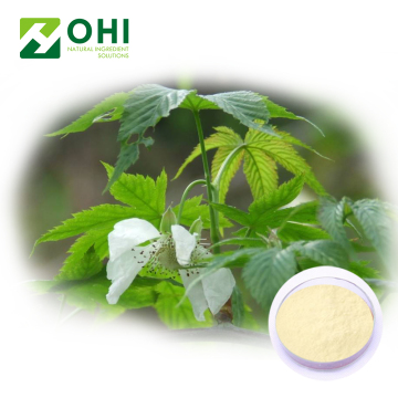 tea extracts sweet tea powder extract