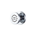 Showerhead Body Sprays