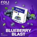 BLUEBERRY BLAST