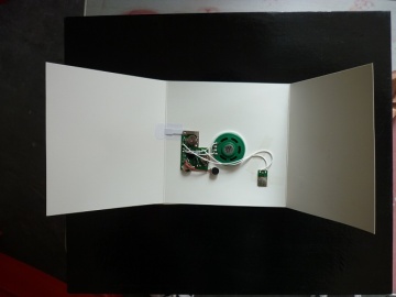 Ad Card with Music Magazine Cards with Voice