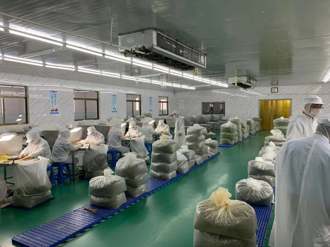 Best Price of Dehydrated Vegetables Garlic Powder with Different Specifications