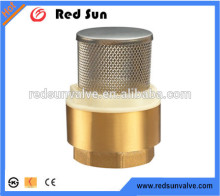 HR6020 forged brass water SS net check valve