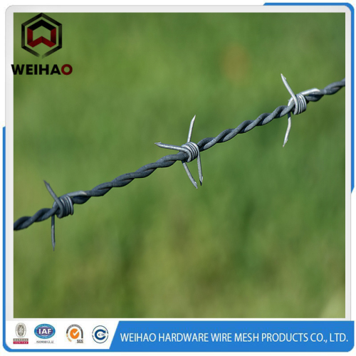 Stacheldraht für Sicherheit / Safety Razor Wire