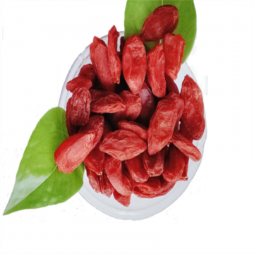 New harvest export goji berries with low calories