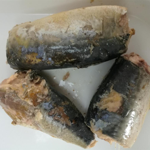 Canned Mackerel in Sunflower Oil