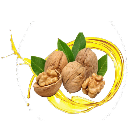 Chinese Walnut Oil rich in antioxidants