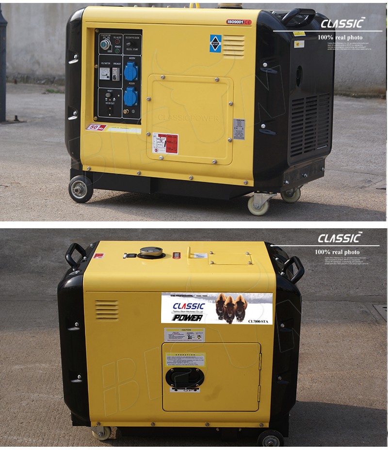 BISON(CHINA) Portable Diesel Generator Price 10hp diesel generator set