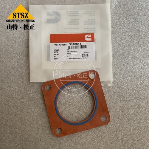 M11 Gasket 3818841