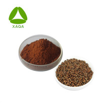 Grape Seed Extract Proanthocyanidin / OPC 95% Powder