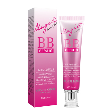 Long Lasting Natural BB Face Foundation