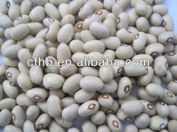 2014 Chinese New Crop Yellow Beans
