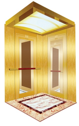 Golden Mirror Finish Passenger Elevator