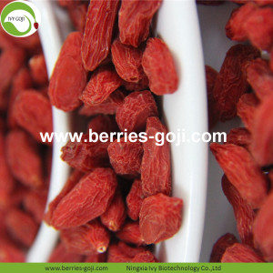 Buah Grosir Baru Sweet Eu Standard Goji Berries