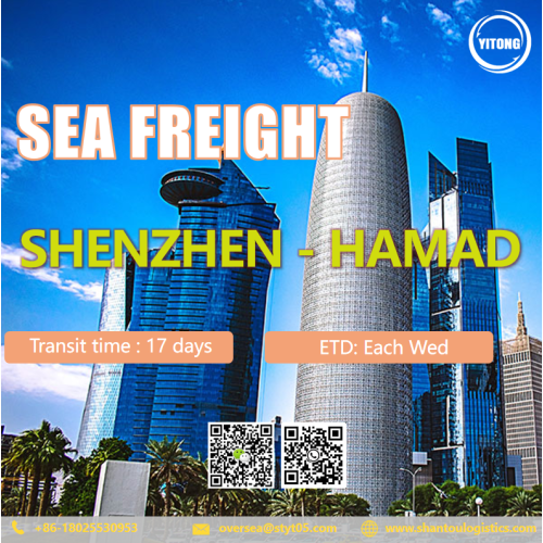 Frete marinho internacional de Shenzhen para Hamad Qatar