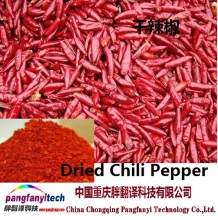 Dried Healthy Spicy Facing-sky Chilli Pepper